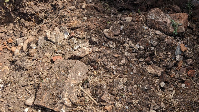Freshly excavated shells and render